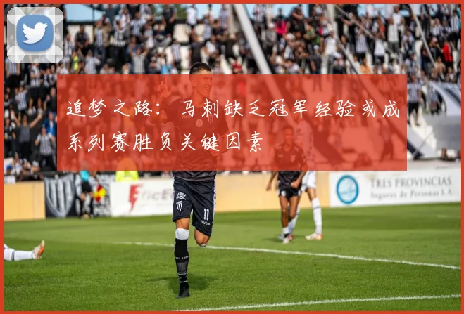 追梦之路：马刺缺乏冠军经验或成系列赛胜负关键因素